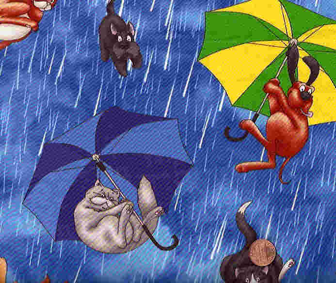 raining%252Bcats%252Band%252Bdogs.jpg