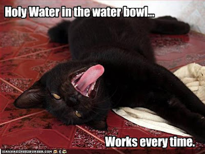 funny-pictures-cat-drank-holy-water.jpg