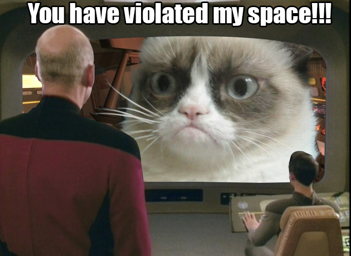 grumpy_space_cat_by_captainscratch-d5meduy.jpg