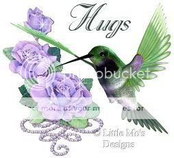 hummingbirdhugs1.jpg