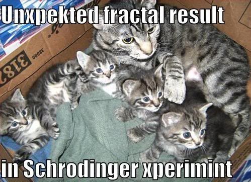 unexpected-fractal-result-in-schrodinger-experiment.jpg