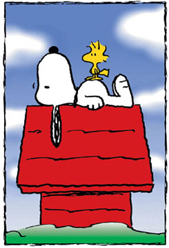 Snoopy_doghouse-1-.jpg