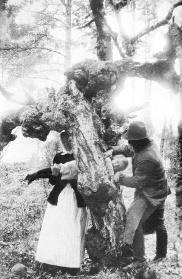 Figure 2  Shoving was one of several methods used to cure epilepsy. Here a child is pulled through a hole in a tree, photo…