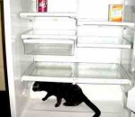 diamond_in_refridgerator.jpg