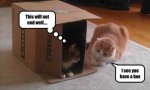 ImageUploadedByTapatalk HD1368343767.614143.jpg