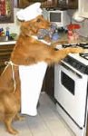 funny-dog-cooking-in-kitchen-pictures.jpg