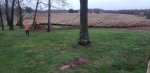 small tree.jpg small tree.jpg