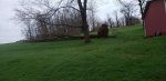 tree 2.jpg tree 2.jpg