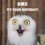 funny-happy-birthday-image-1-500x500.jpg