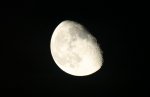 IMG_8174.jpg