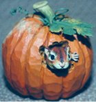 chipmunk2.JPG