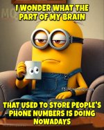 FB_IMG_1752315779653.jpg
