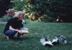 FEED SKUNKS.JPG