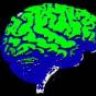 TheMiNd