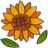 sunny_88
