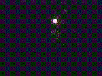 firewrk3.gif