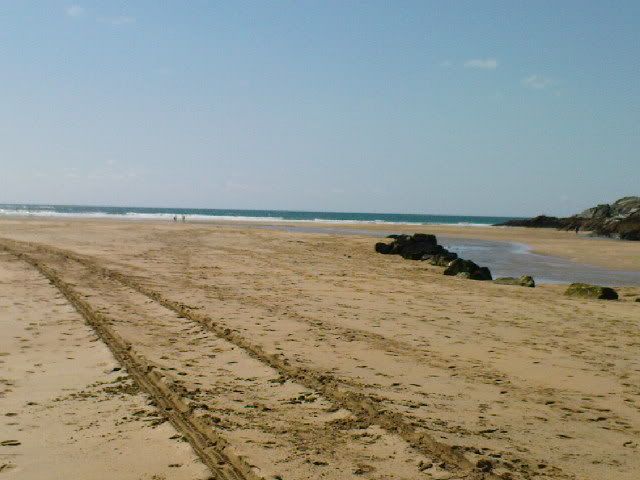 DSC00175.jpg