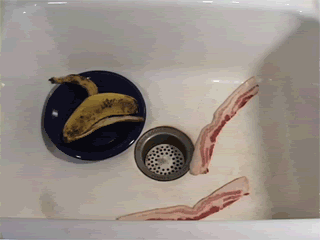 41f7fa1f.gif