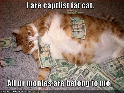 funny-pictures-cat-has-a-lot-of-money.jpg