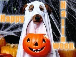 puphalloween.jpg