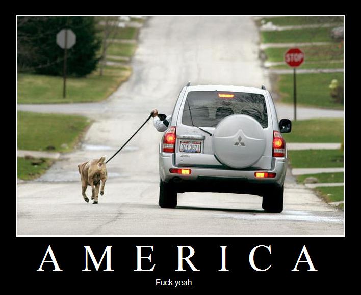 america-fuck-yeah-demotivational-poster.jpg