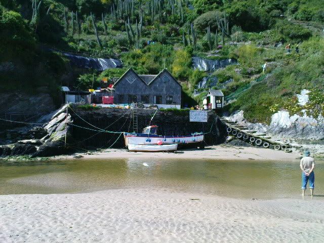 DSC00169.jpg