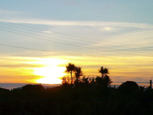 DSC00433.jpg