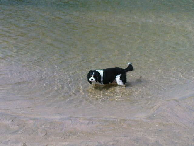 DSC00161.jpg