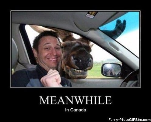 Meanwhile-In-Canadia.jpg