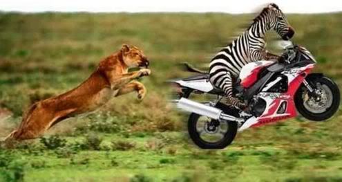 112Evolution.jpg