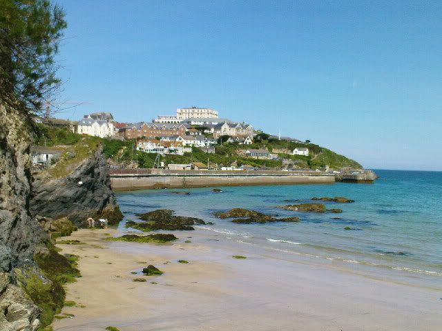 DSC00360.jpg
