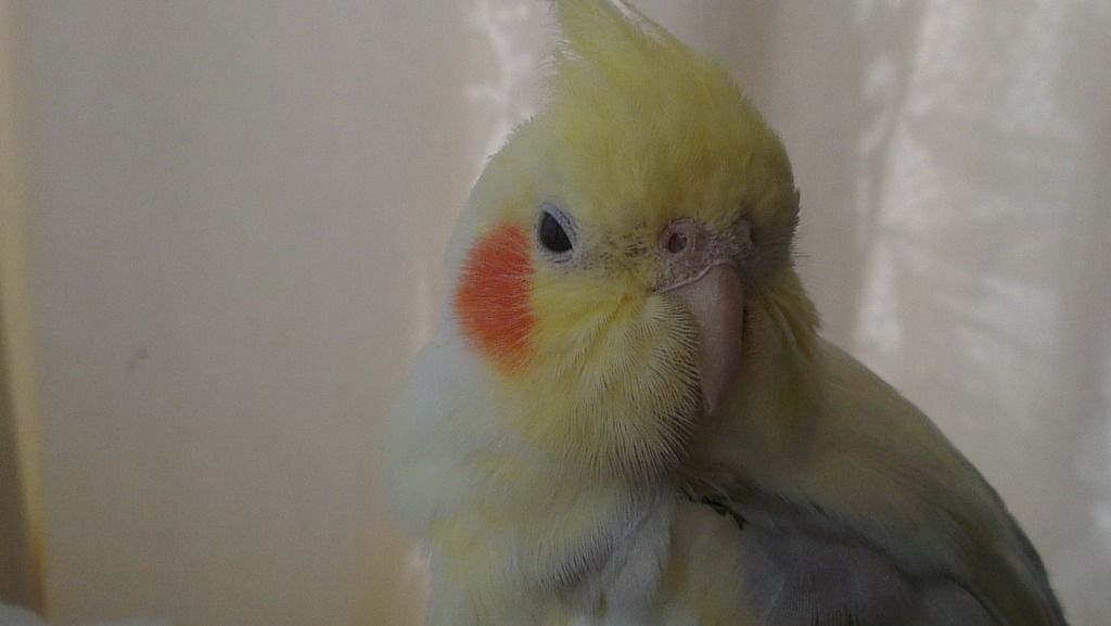 IMAG0198.jpg