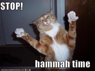 normal_hammertime.jpg