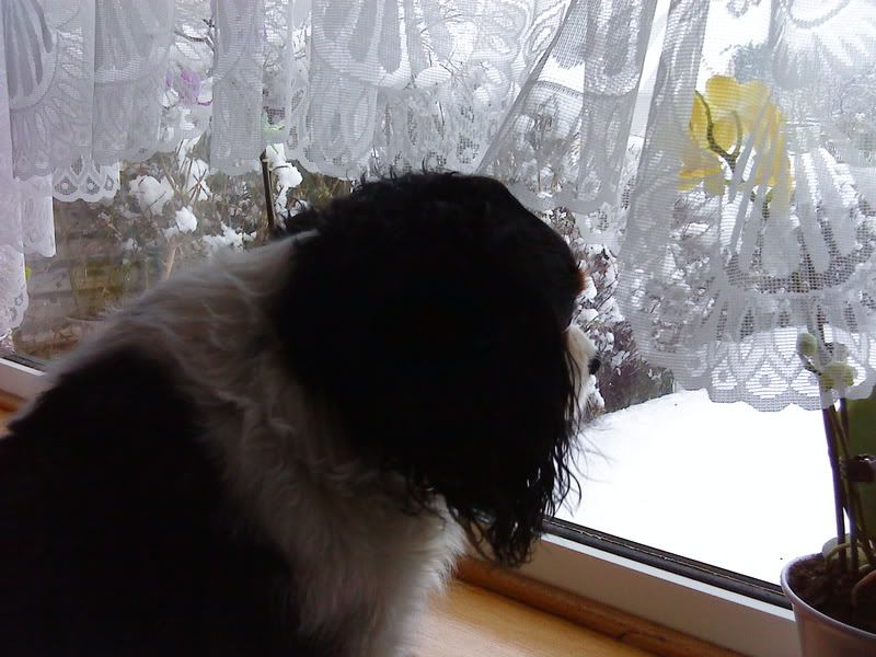 DSC00022.jpg