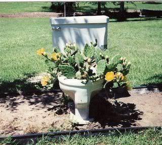Only20in20the20South20-20Cactus20To.jpg