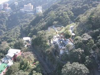 IMG_0134.jpg