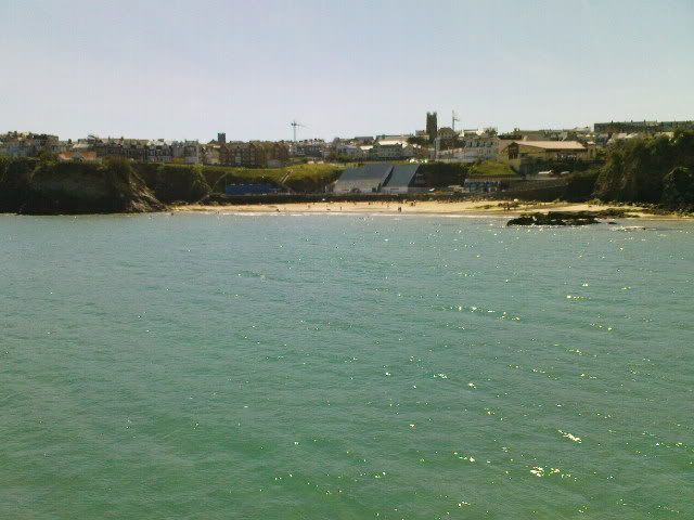 DSC00400.jpg