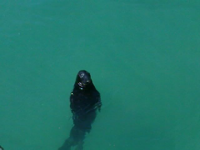 DSC00393.jpg