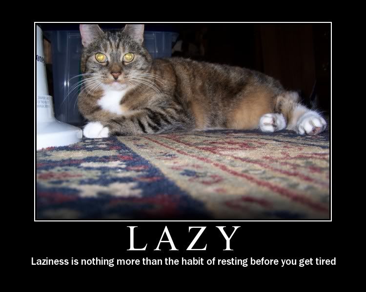 lazy.jpg