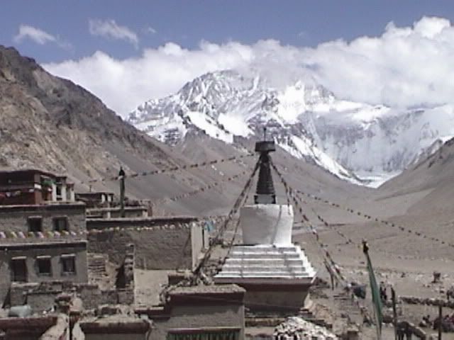 DSC00005.jpg