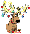 33871f5c.gif