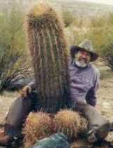 cactus.jpg