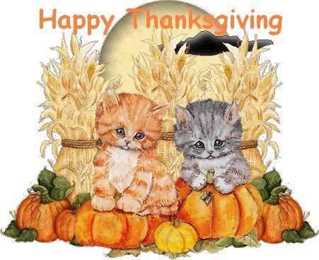 Thanksgivingkitties.jpg