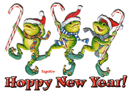 happynewyear.gif