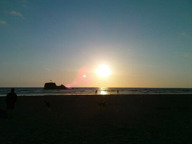 DSC00350.jpg