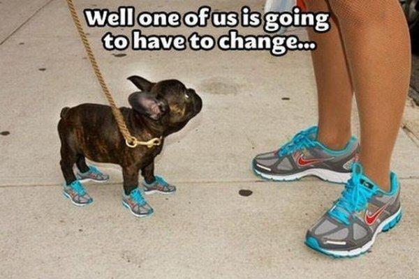 picdump-850-23-1.jpg