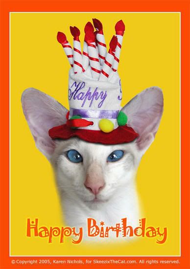 skeezix_bday_ecard.jpg