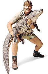 steveirwin.jpg