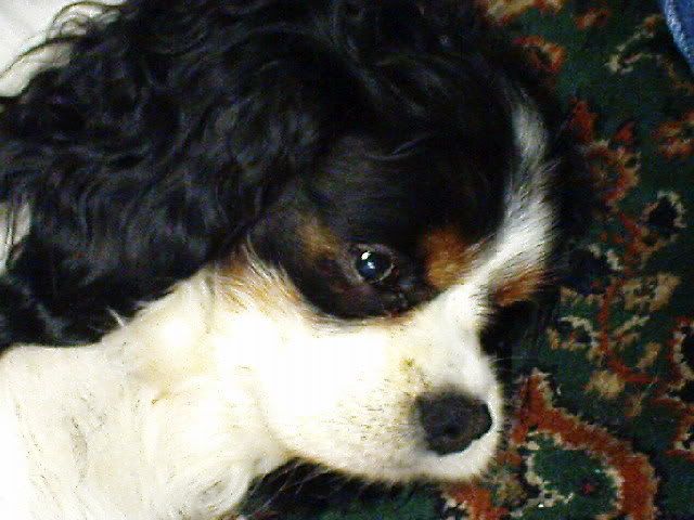 DSC00351.jpg