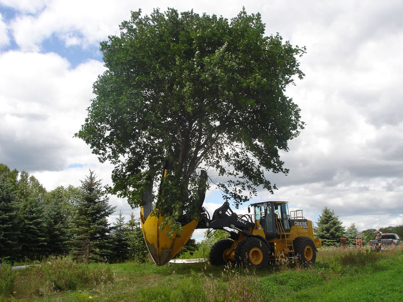 Dutchman_95_Tree_Spade_on_Loader.jpg
